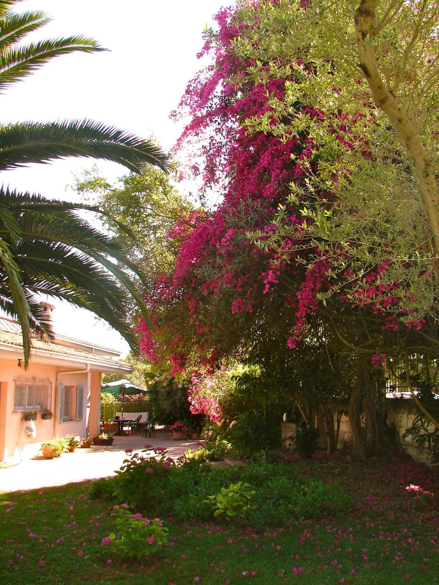Parco Delle Valli Sassari Exteriör bild