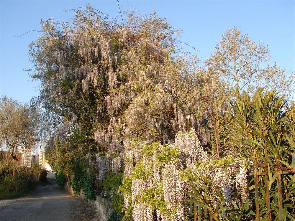 Parco Delle Valli Sassari Exteriör bild